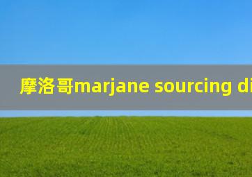 摩洛哥marjane sourcing director